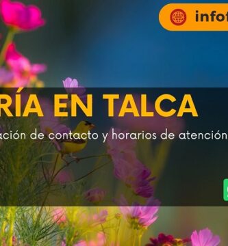 Florería En Talca