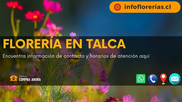 Florería En Talca