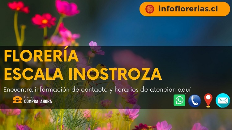 Florería Escala Inostroza