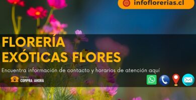 Florería Exóticas Flores
