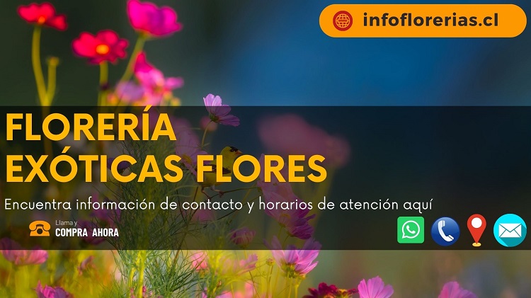 Florería Exóticas Flores