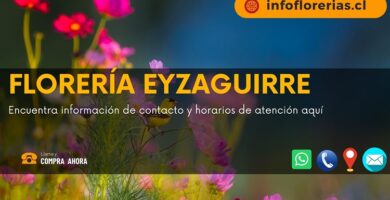 Florería Eyzaguirre