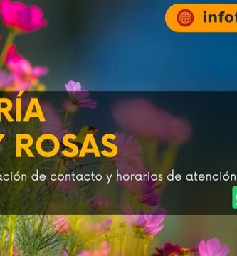 Florería Flor y Rosas