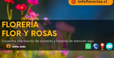 Florería Flor y Rosas