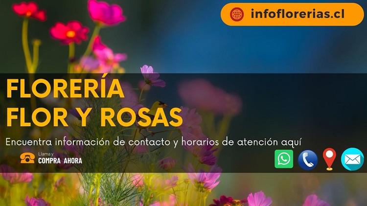Florería Flor y Rosas