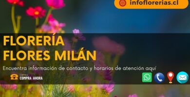 Florería Flores Milán