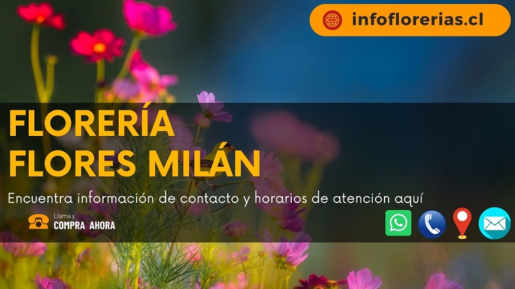 Florería Flores Milán