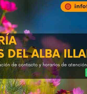Florería Flores del Alba Illapel