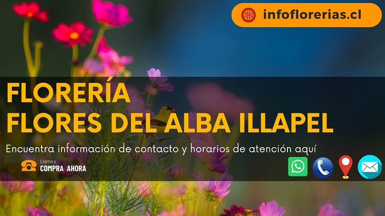 Florería Flores del Alba Illapel