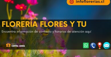 Florería Flores y Tu