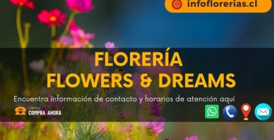 Florería Flowers & Dreams