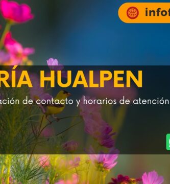 Florería Hualpen