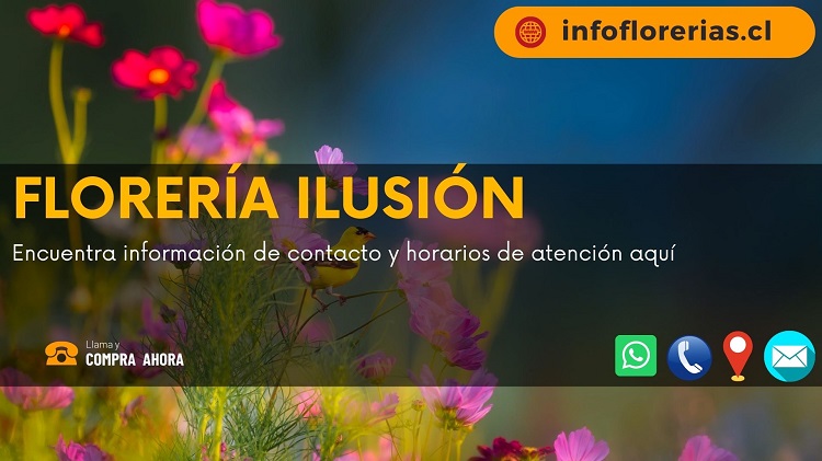 Florería Ilusión