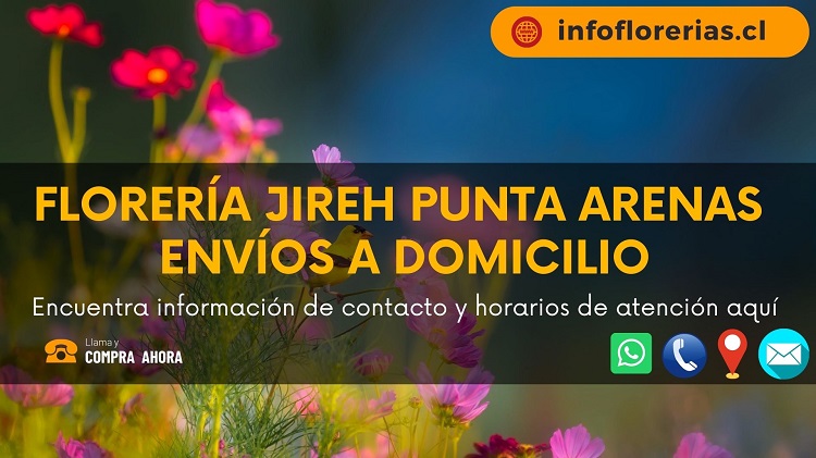 Florería Jireh punta Arenas Envíos a Domicilio