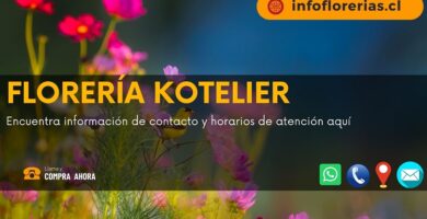 Florería Kotelier