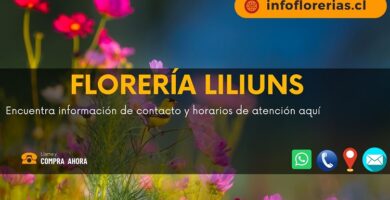 Florería Liliuns
