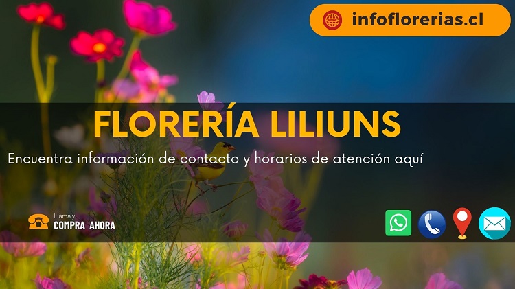 Florería Liliuns