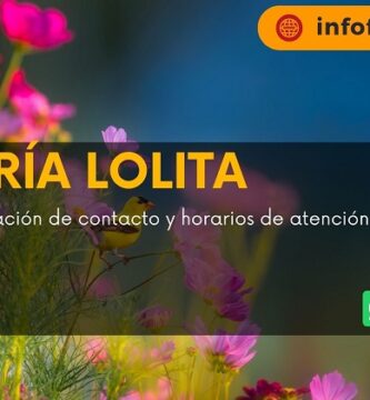 Florería Lolita