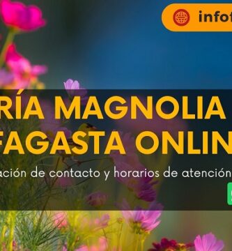 Florería Magnolia Antofagasta Online