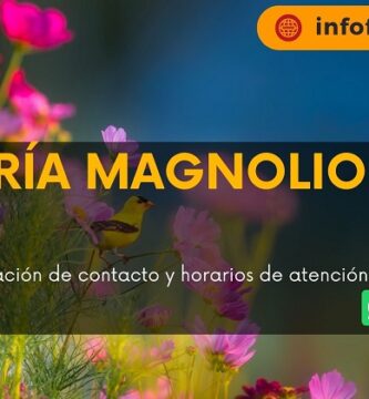 Florería Magnolio