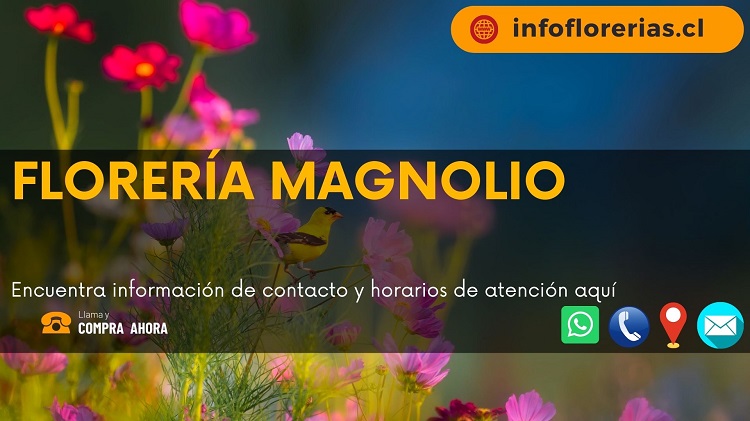 Florería Magnolio