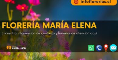 Florería María Elena