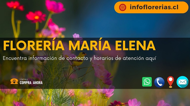 Florería María Elena