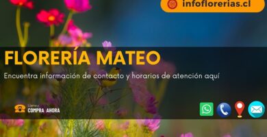 Florería Mateo