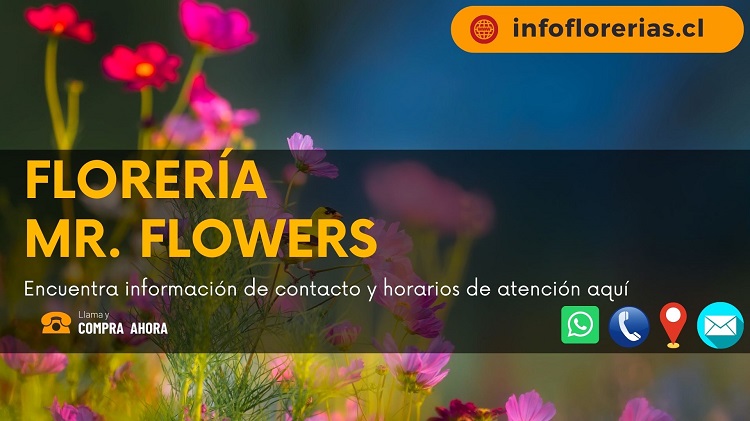 Florería Mr. Flowers