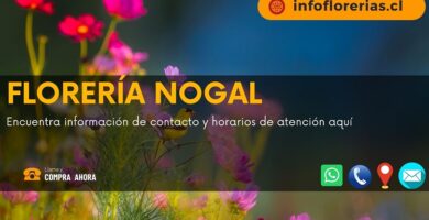 Florería Nogal