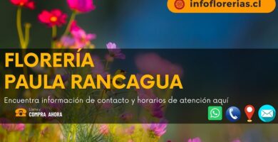 Florería Paula Rancagua