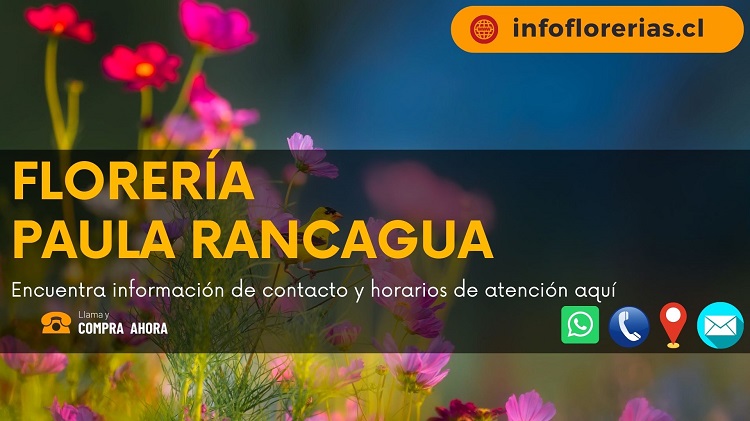 Florería Paula Rancagua