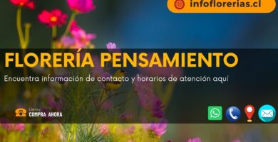 Florería Pensamiento