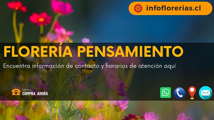 Florería Pensamiento