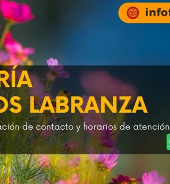 Florería Pétalos Labranza