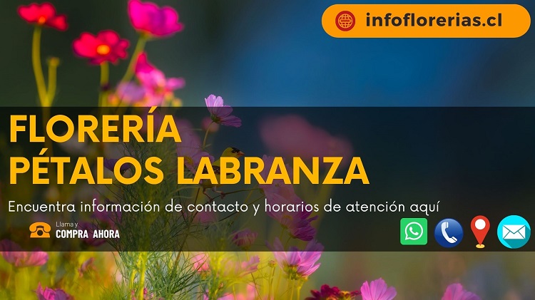 Florería Pétalos Labranza
