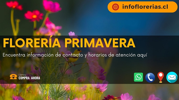 Florería Primavera