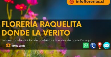 Florería Raquelita Donde La Verito