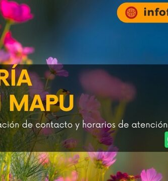 Florería Rayen Mapu