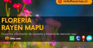 Florería Rayen Mapu