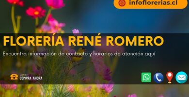 Florería René Romero