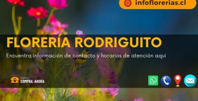 Florería Rodriguito