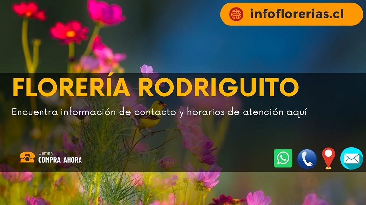 Florería Rodriguito