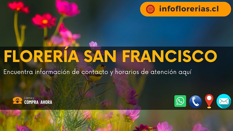 Florería San Francisco