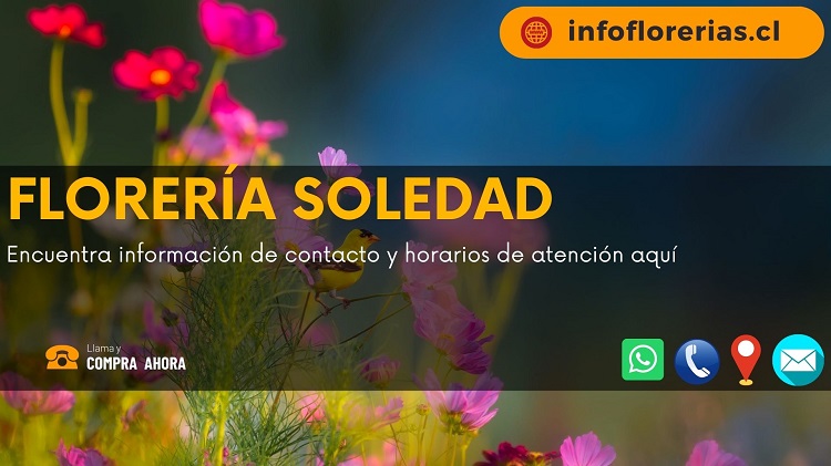 Florería Soledad