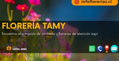 Florería Tamy