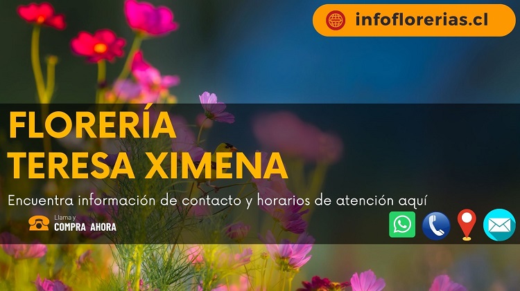 Florería Teresa Ximena