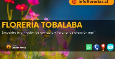 Florería Tobalaba