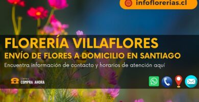 Florería Villaflores envío de flores a domicilio en Santiago