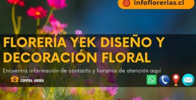 Florería Yek Diseño y Decoración Floral